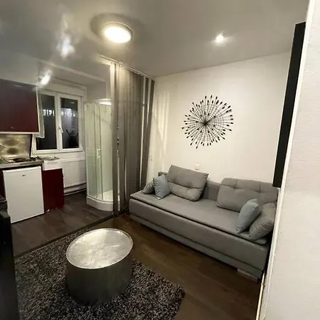 公寓 Magnifique Studio Champs-elysee