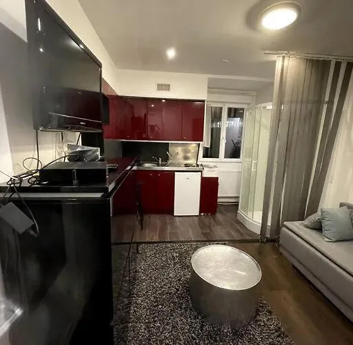 Magnifique Studio Champs-elysee Daire Paris